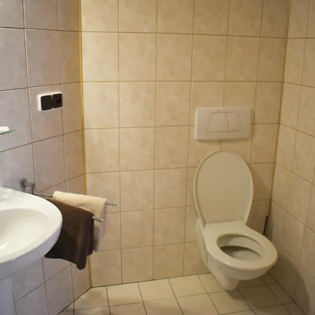 U Jiriho Hotel *