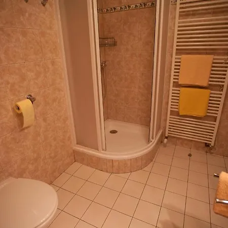 Hotel U Jiriho *