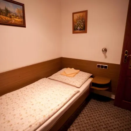 U Jiriho Hotel