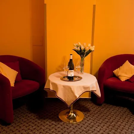 U Jiriho Hotel